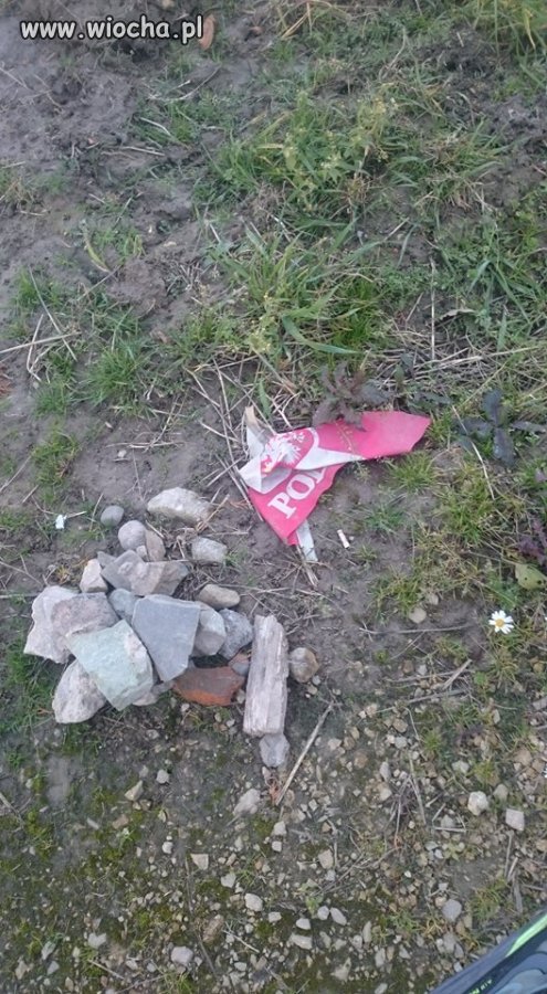 Wycieczka rowerowa w Święto Niepodległości
