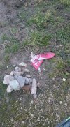 Wycieczka rowerowa w Święto Niepodległości