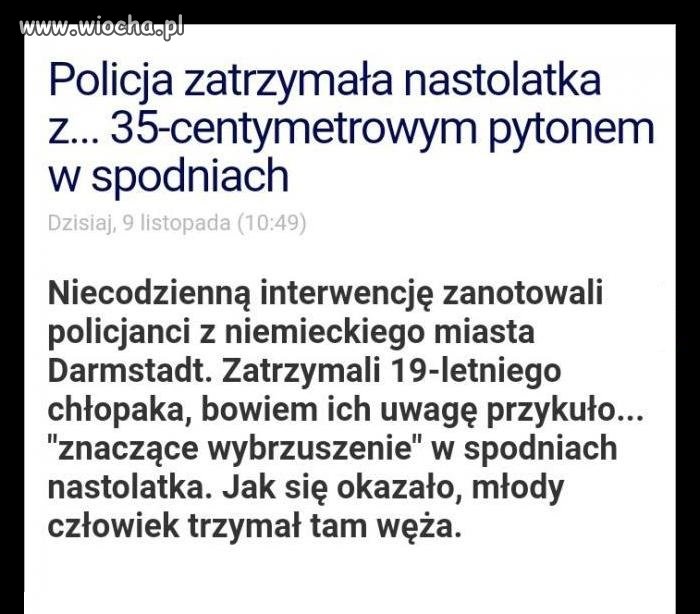 Wąż rzeczny... Jest niebezpieczny...