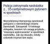 Wąż rzeczny... Jest niebezpieczny...