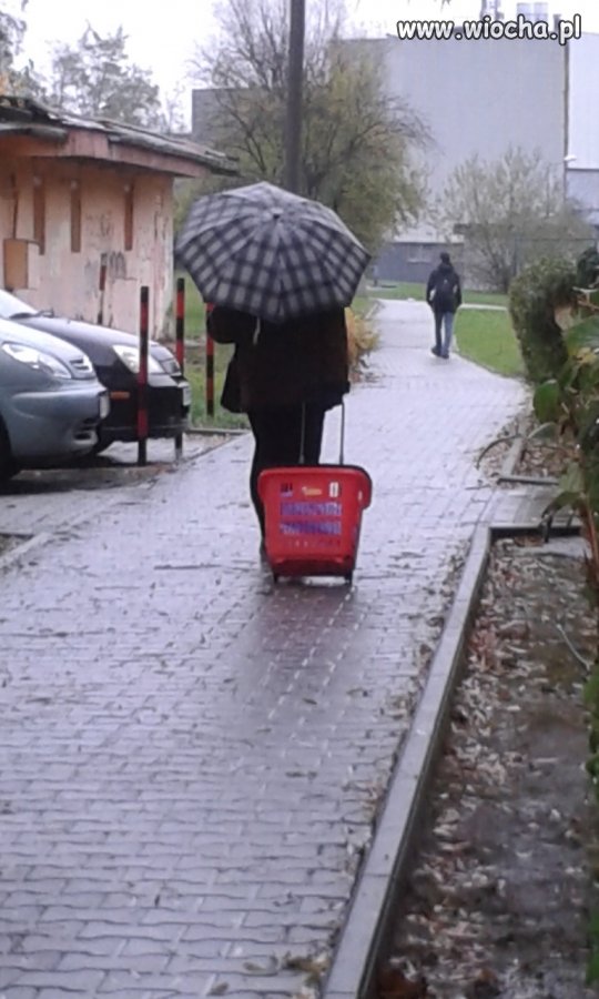 Qwa - brakło świeżaków to chociaż koszyk zapier...