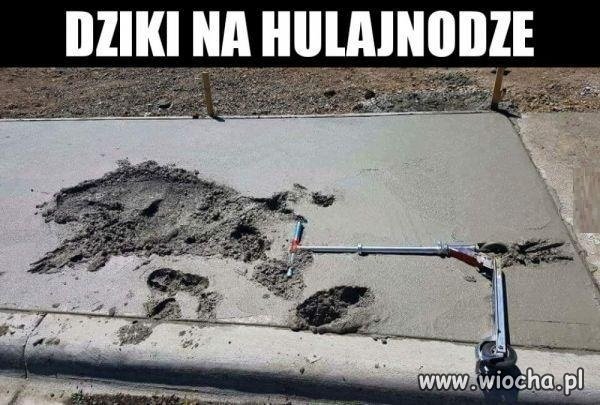 Uwaga!