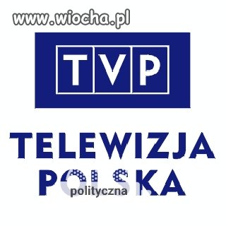 Telewizja polityczna