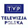 Telewizja polityczna