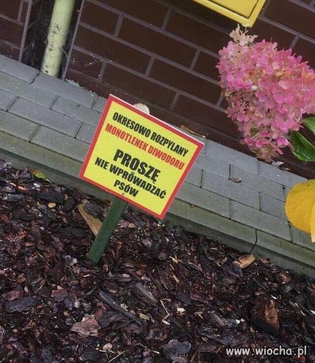 Monotlenek diwodoru to inna nazwa zwykłej wody