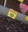 Monotlenek diwodoru to inna nazwa zwykłej wody