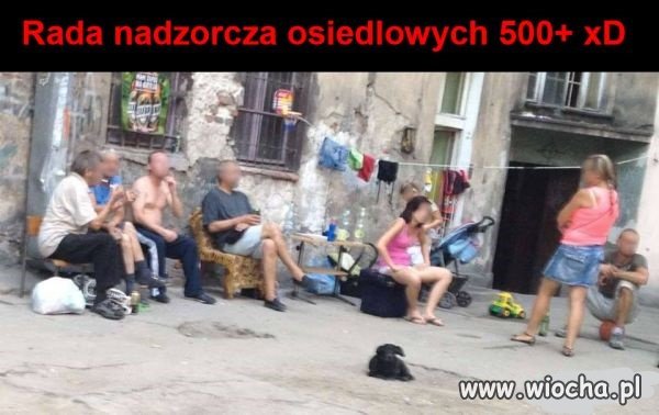  500+