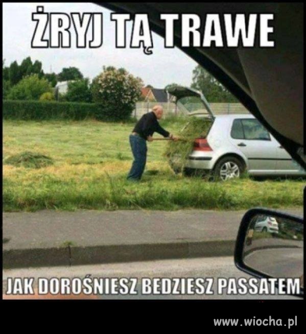 Żryj