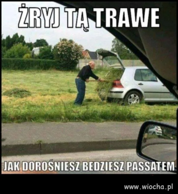 Żryj