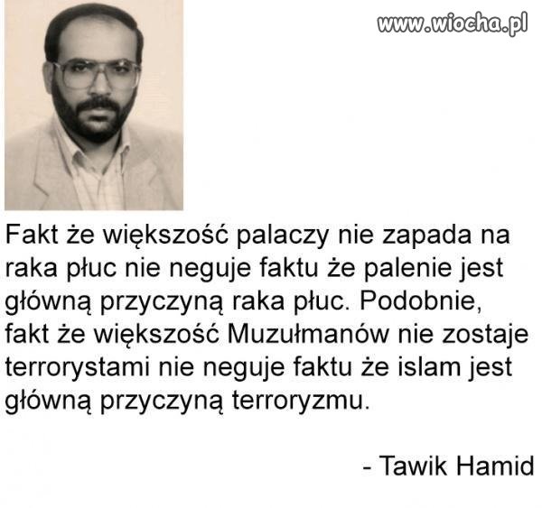 Mądry gość