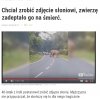 Selekcja naturalna