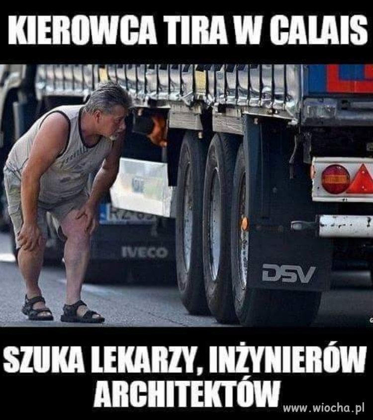 Szukajcie aż znajdziecie 