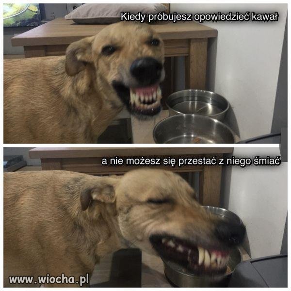 Żeby nie spalić