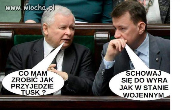Prosta rada