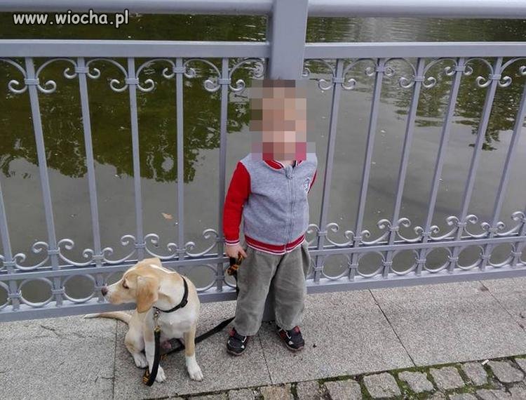 Znów skatowane dziecko przez przyjaciela mamusi