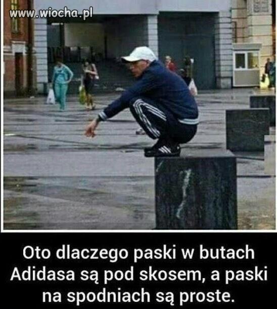 Zagadka wyjaśniona
