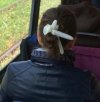 Bo pod ręką ...