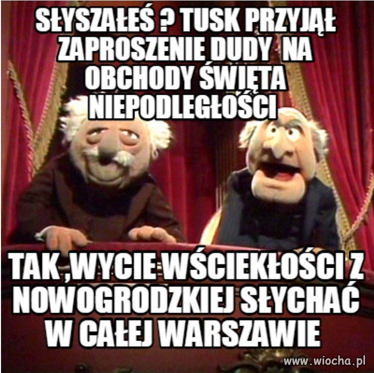 PAD urwał się ze smyczy prezesowi 