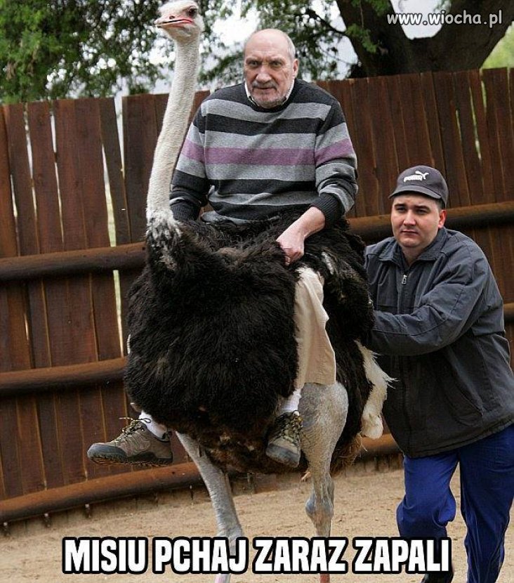 Ale jednak jedno trzeba im przyznać...