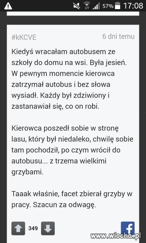 Grzybki