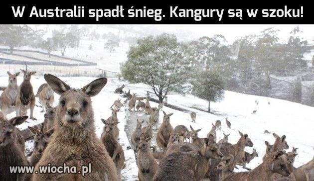 Tyle frajdy!