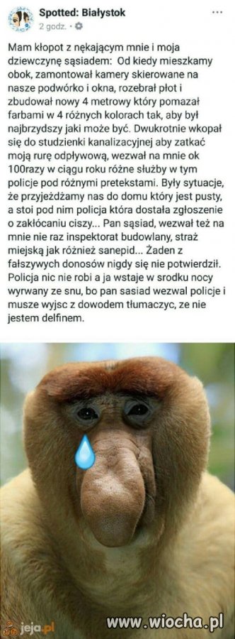 Kłopot z somsiadem