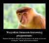 Tak dla przypomnienia