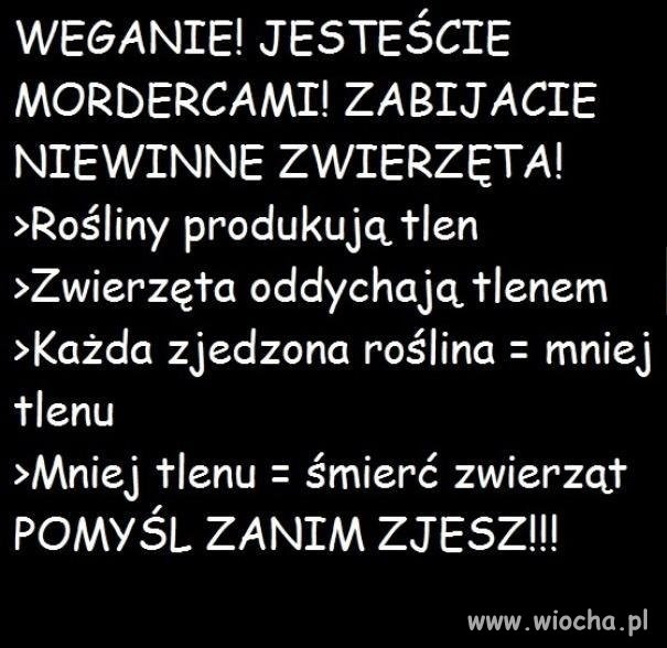 Skończcie z tą masakrą!