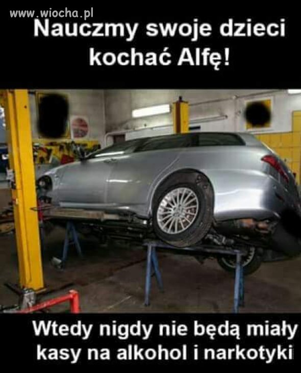 Kochajmy alfy