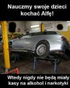 Kochajmy alfy