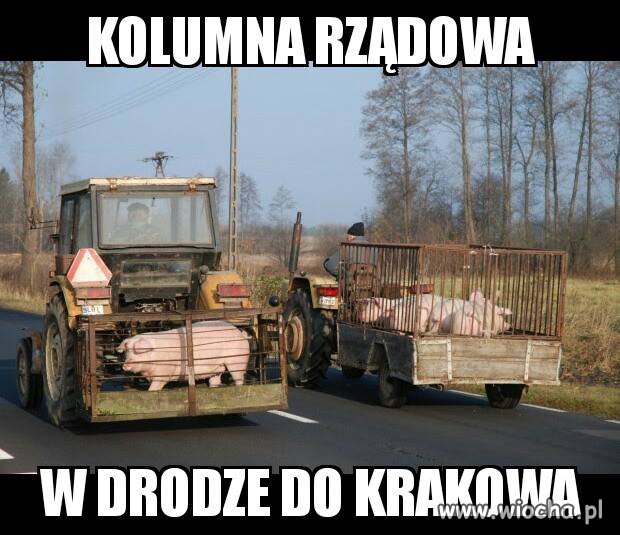 Kolumna 