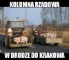 Kolumna 
