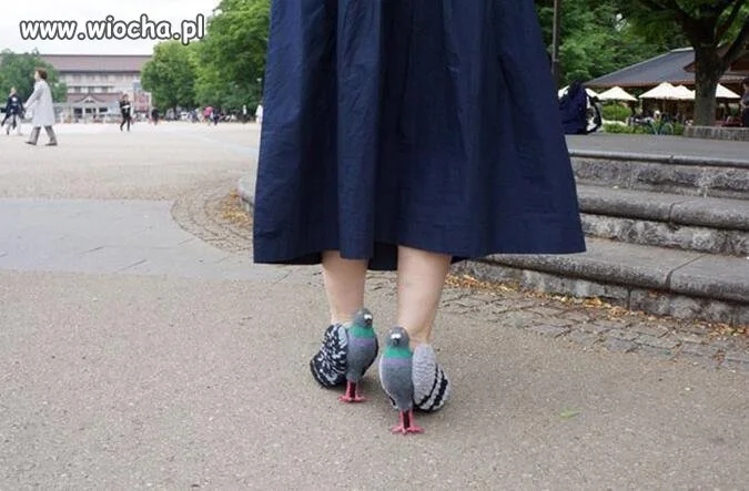 Buty ekologiczne "gołębi puch"