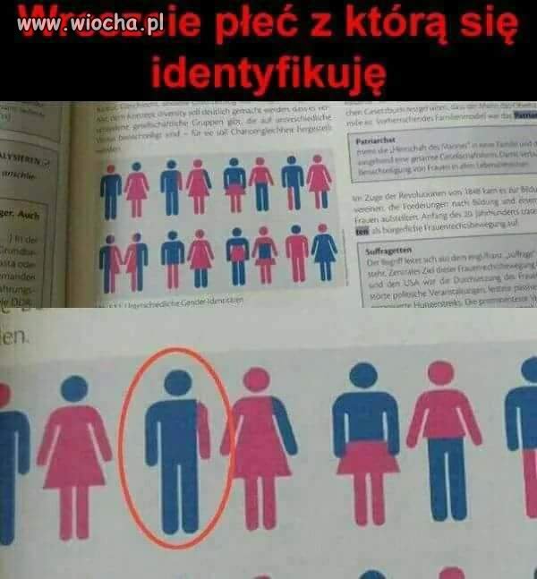 Idealna płeć