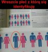 Idealna płeć