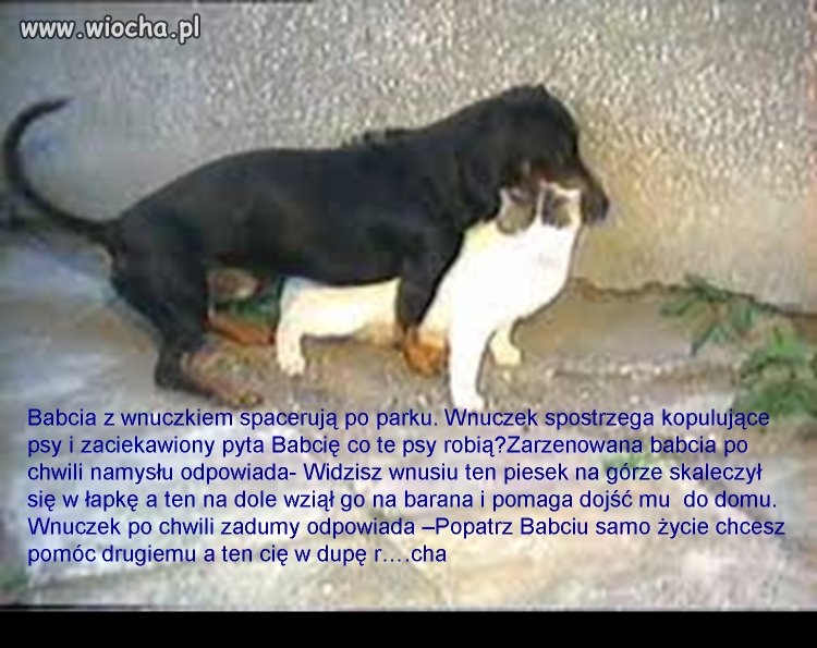 Samo ...