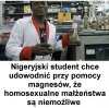 Wesprę jego badania