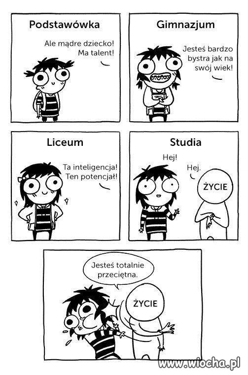 Studia