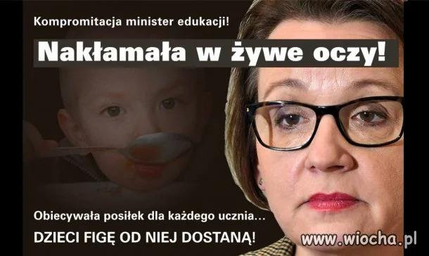 Kompromitacja minister edukacji   