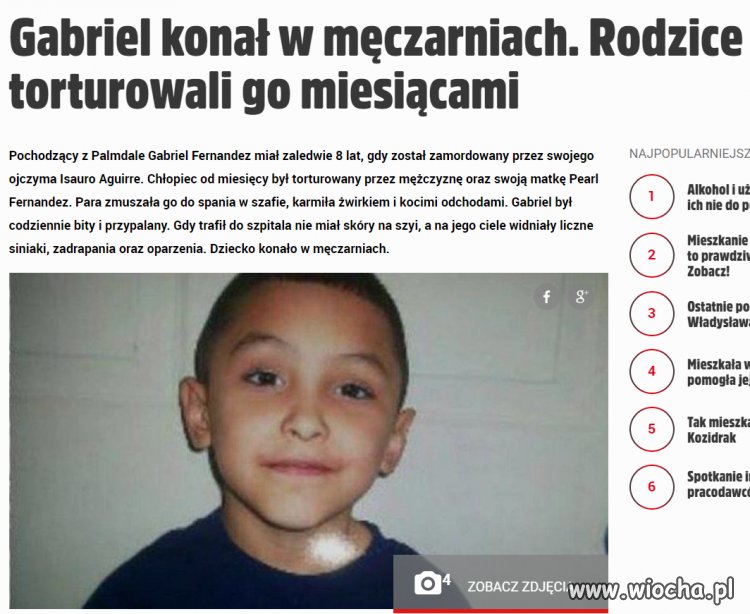 Człowiek to jednak bydlę