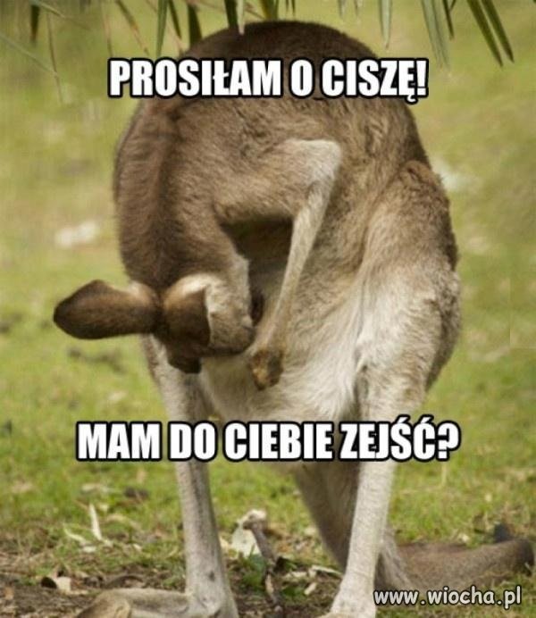 Cisza!