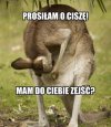 Cisza!