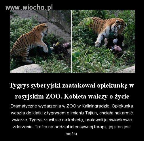 Na głupotę nie ma lekarstwa