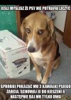 Jak myślisz, co będzie?