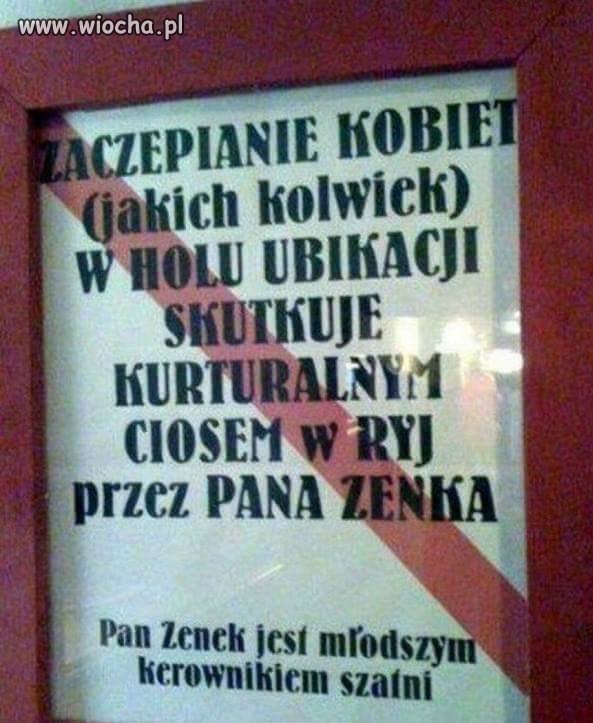 Pan Zenek
