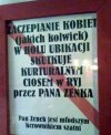 Pan Zenek