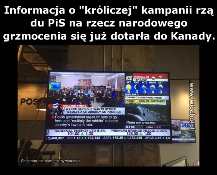 Brawo radziwił, boski księciunio