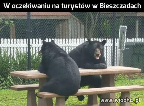 Jedzenie na dowóz