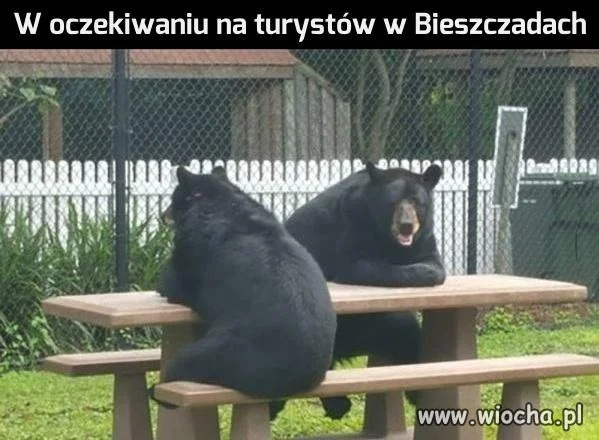 Jedzenie na dowóz