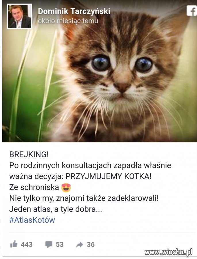 Prezes ma , mam i ja 